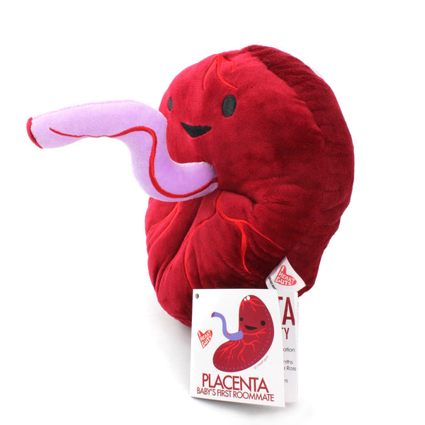 uterus stuffed animal