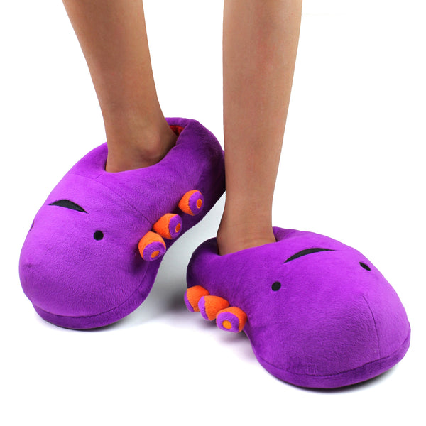 Kidney Slippers - Women's Shoe 5-8 / Kids Youth Size 3-6 | I Heart Guts