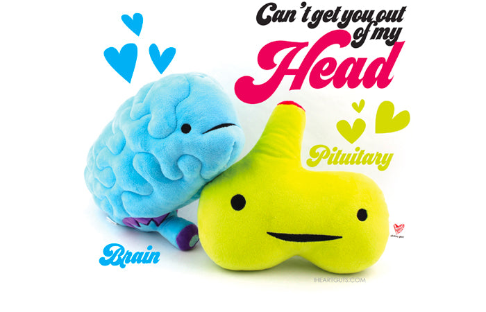 happy organs plush