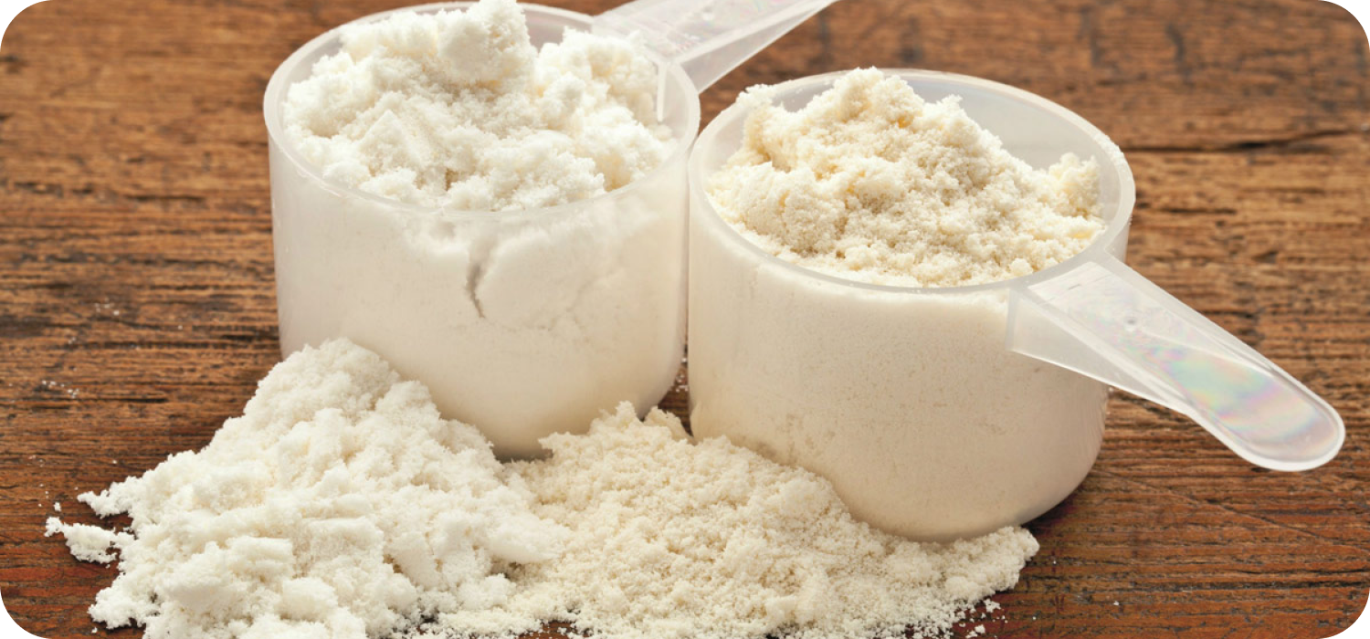 Casein Protein Powder