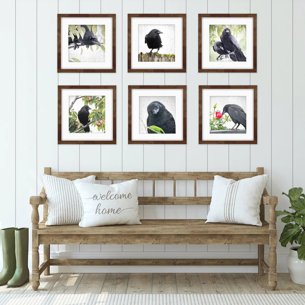 Lovely Crow Gallery Wall