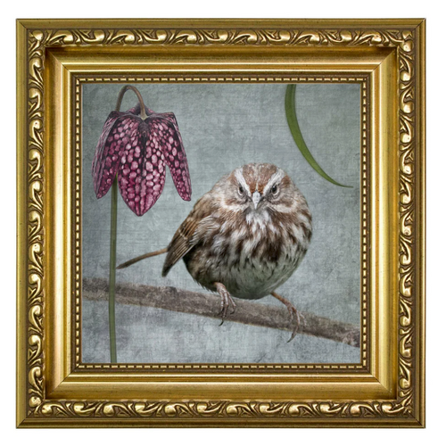 Beautiful_Bird_in_Gold_Frame