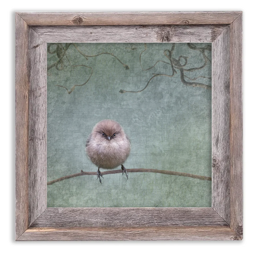 Bird_Art_-_Agnes_-_Smallest_Fury_-_Wood_Frame