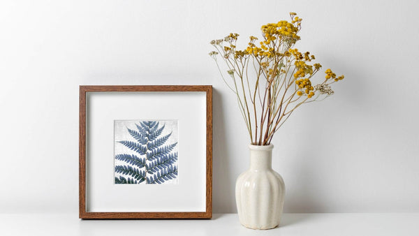 botanical prints