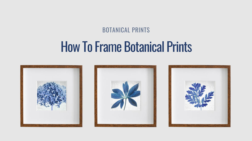 How To Frame Botanical Prints