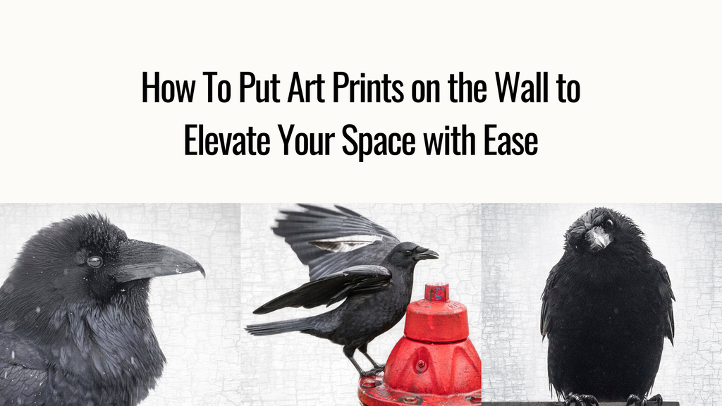 How To Put Art Prints on the Wall to Elevate Your Space with Ease