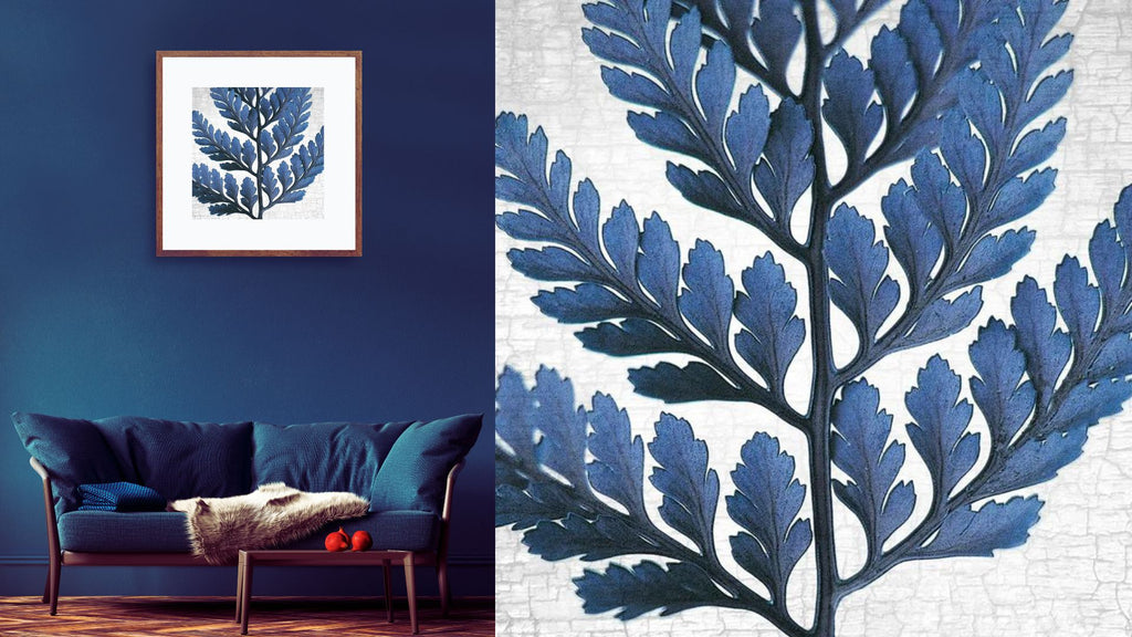Blue Room with June Hunter's botanical print