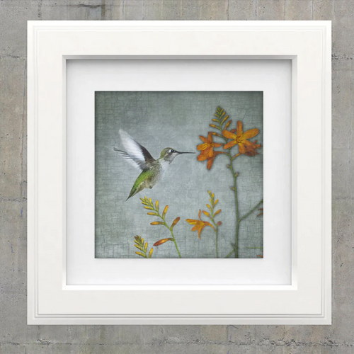 Hummingbird_Art_White_Frame