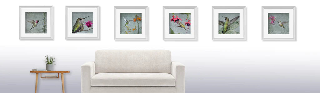 HUMMINGBIRD PORTRAITS - Wall Art & Prints