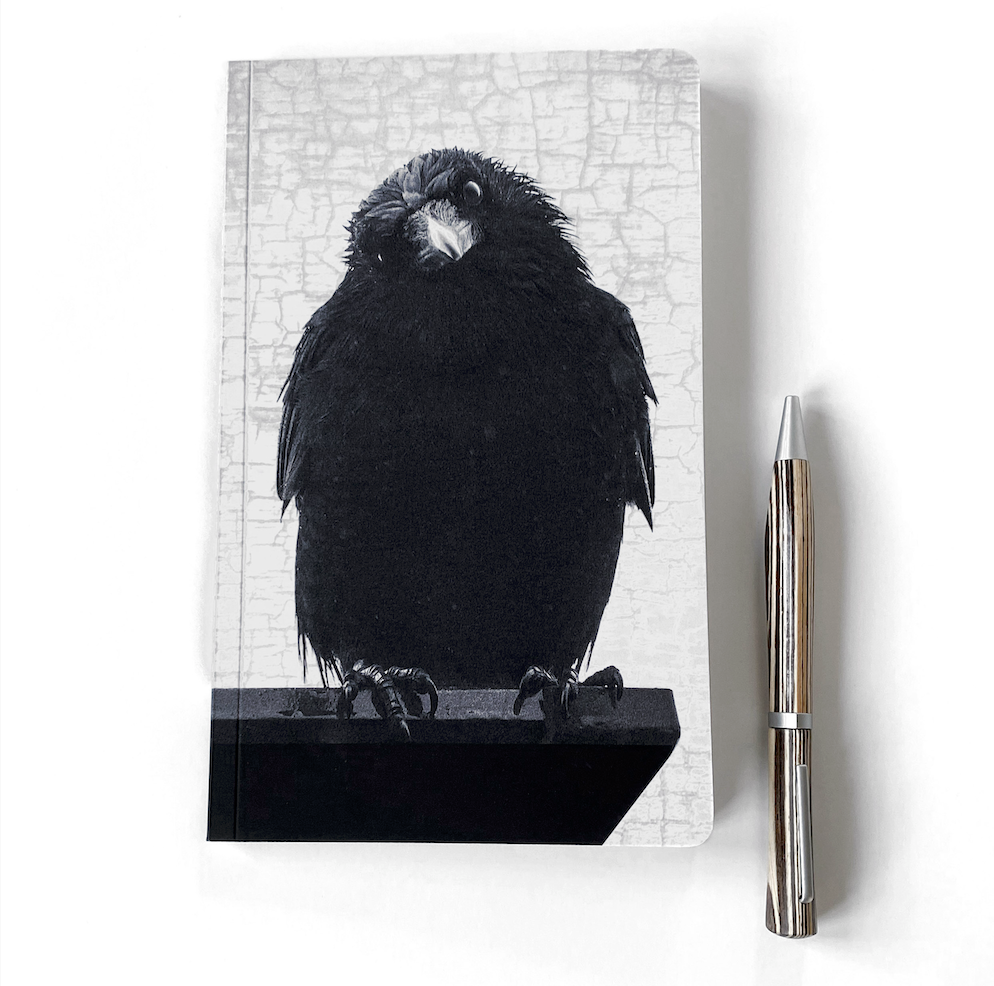 Philosopher_Crow_-_Fine_Art_Bird_Print_Notebook_by_June_Hunter