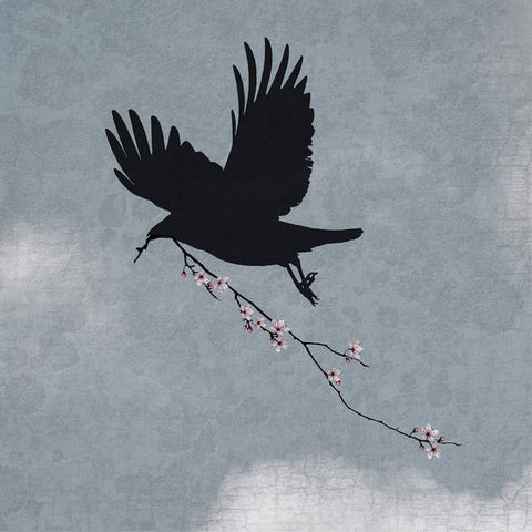 Sky Messenger - crow builds a nest.