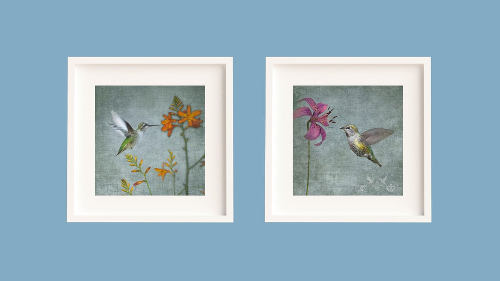 HUMMINGBIRD PORTRAITS - Wall Art & Prints