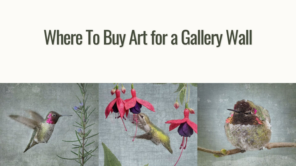 Where To Buy Art for a Gallery Wall