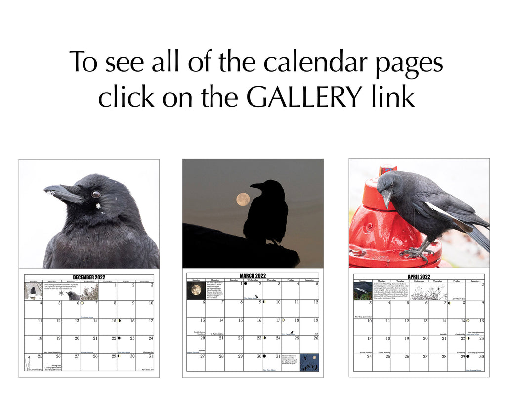 City Crow Calendar 2021 June Hunter Images