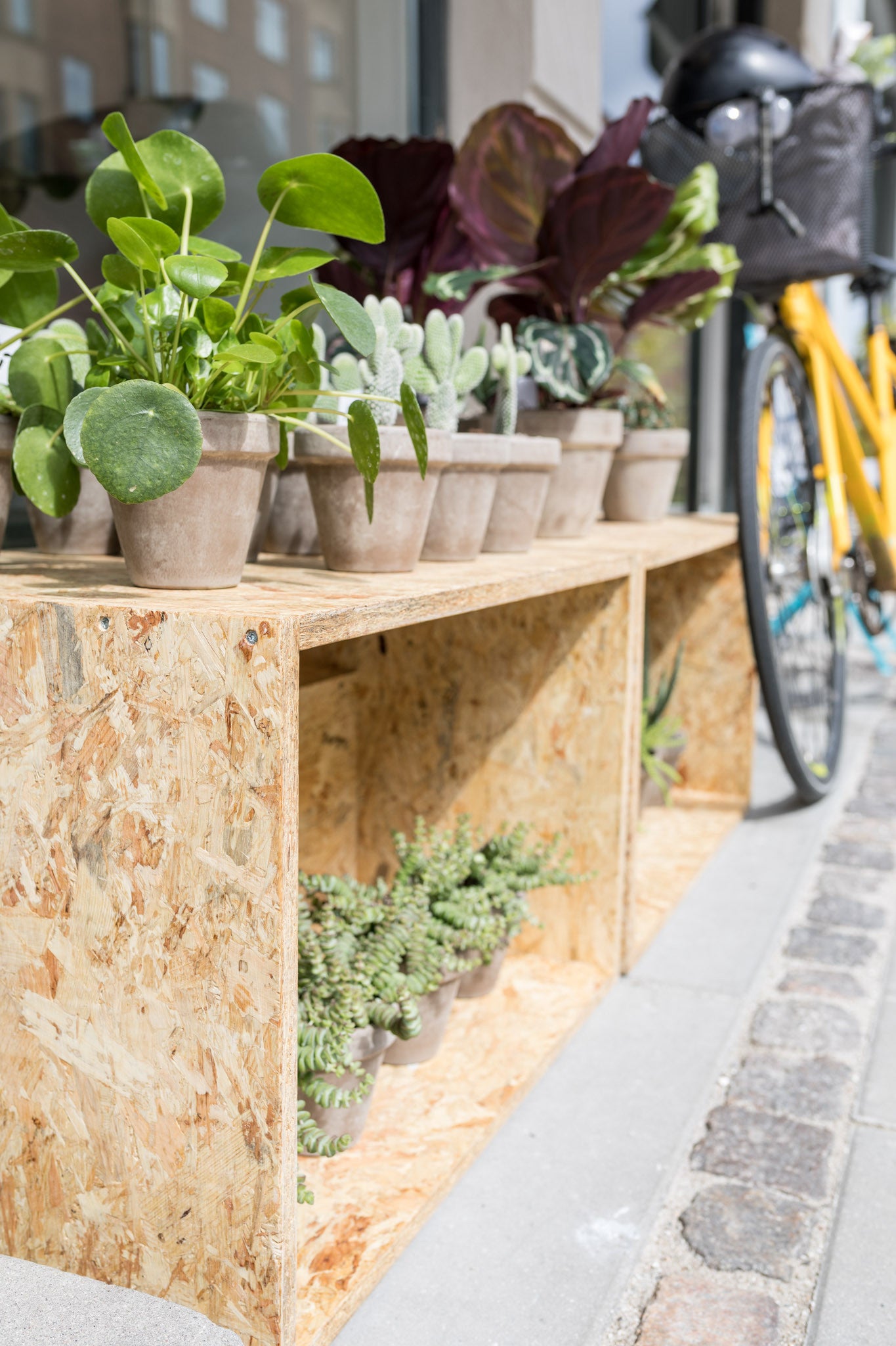 Op maat gemaakte houten dozen - Planten voor uw huis - winkel in Frederiksberg