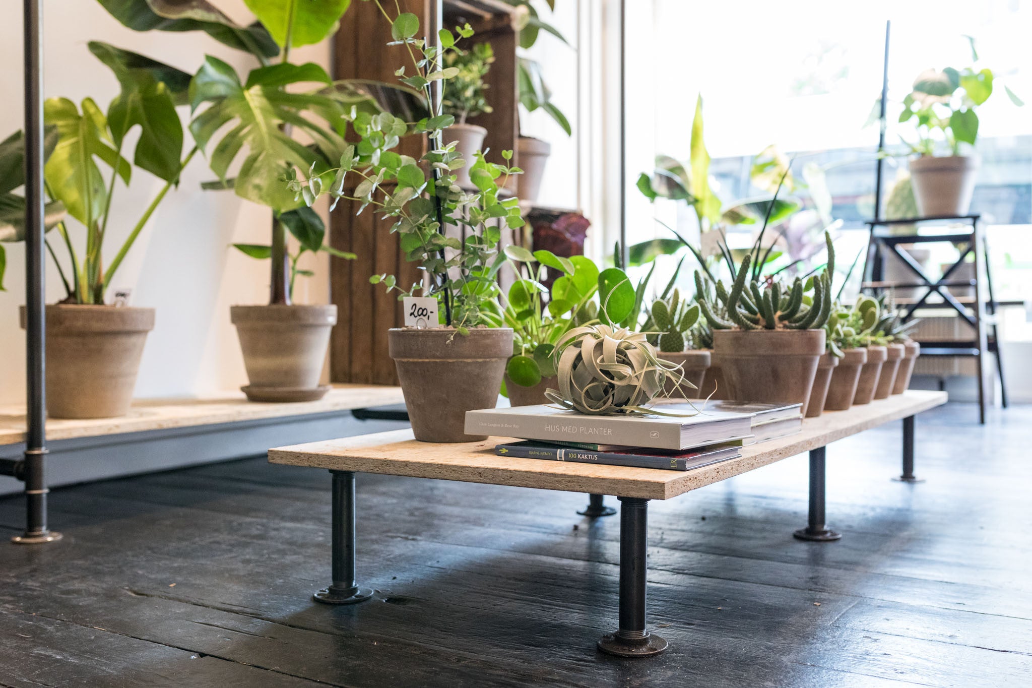 Store interni - Soluzione speciale a Bloom in Frederiksberg