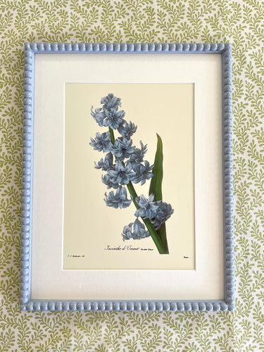 Liseron Botanical Print in Pale Blue Bobbin Frame – Narissa Perks