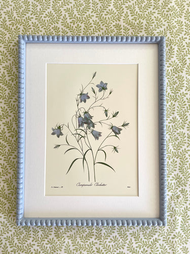 Liseron Botanical Print in Pale Blue Bobbin Frame – Narissa Perks