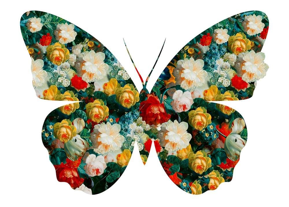 Framing Image for Butterfly 74 (White)
