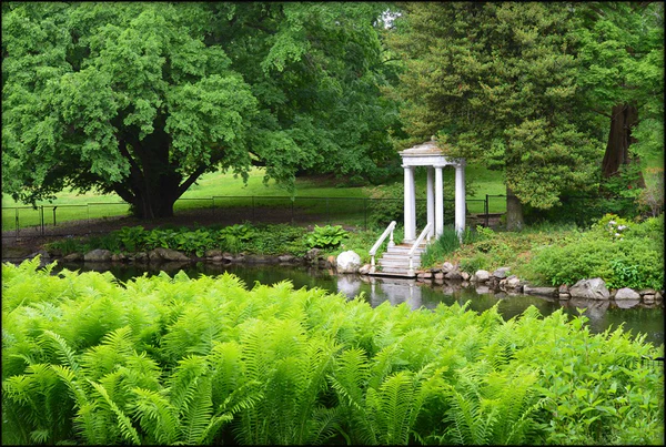 Morris Arboretum