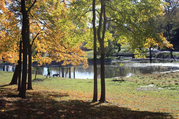 Park in Nashville