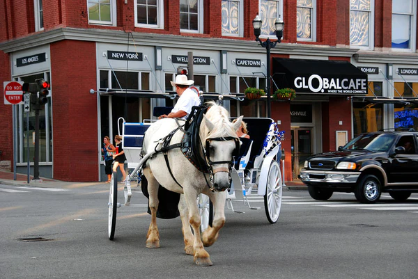 Carriage ride