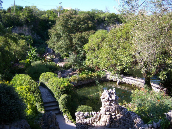 Japanese Tea Garden