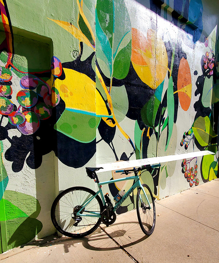 a beautiful mural with my specialized bike found on the sacramento river paved bike trail, redding california