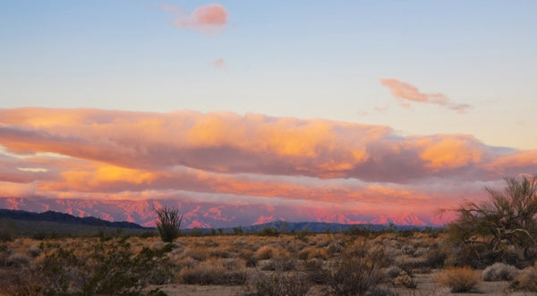 beautiful sunset at joshua tree blm on the south side by traveling artist blogger meganaroon (3)