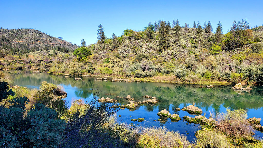 epic views along the sacramento river trail paved bike path in redding california 12