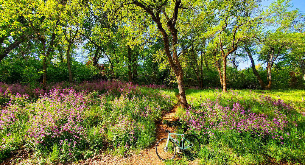 epic views along the sacramento river trail paved bike path in redding california (3)