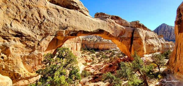 hickman bridge arch with morning rays making it glow at capitol reef national park, photo by traveling artist blogger MeganAroon