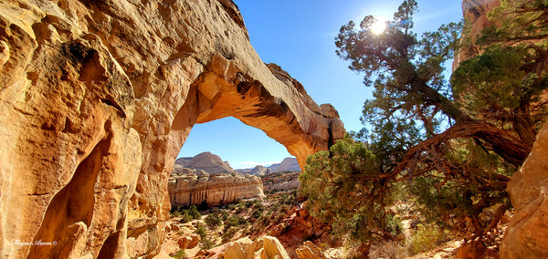 Hickman Bridge Arch at Capitol Reef National Park, photo by traveling artist blogger MeganAroon