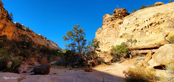 the canyon on the hike up to hickman bridge arch at capitol reef national park, photo by traveling artist blogger MeganAroon