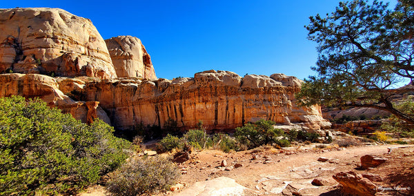 red rock walls on hike to hickman bridge at capitol reef national park, photo by traveling artist blogger MeganAroon