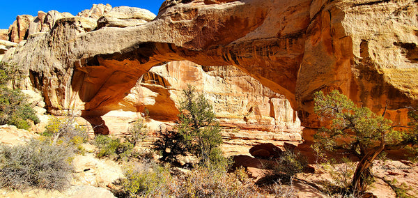 hickman bridge arch in the morning light at capitol reef national park, photo by traveling artist blogger MeganAroon