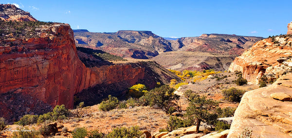 hiking views upon leaving hickman bridge arch at capitol reef national park, photo by traveling artist blogger MeganAroon