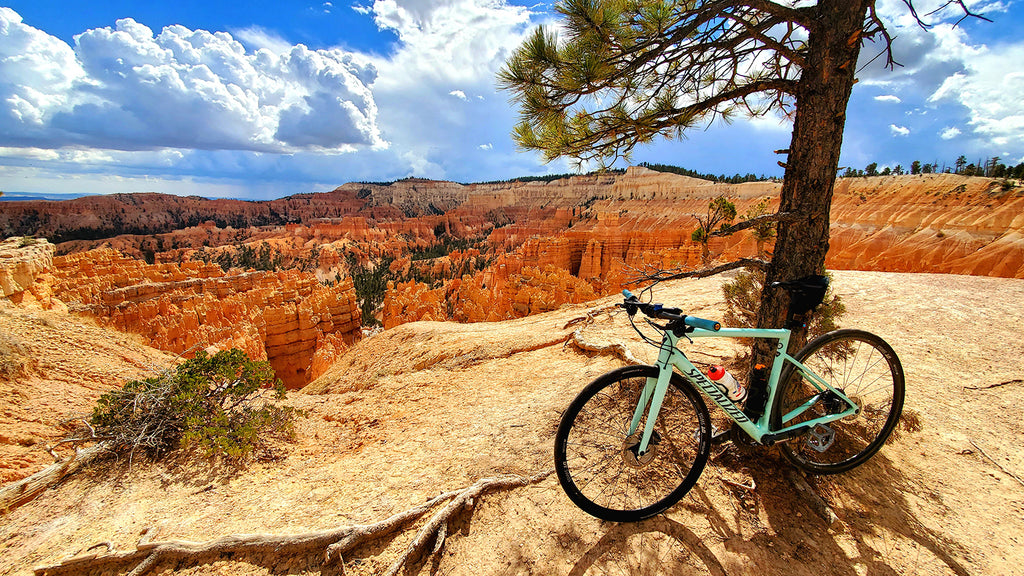 my specialized road bike overlooking  bryce canyon national park solo female van life blogger artist meganaroon