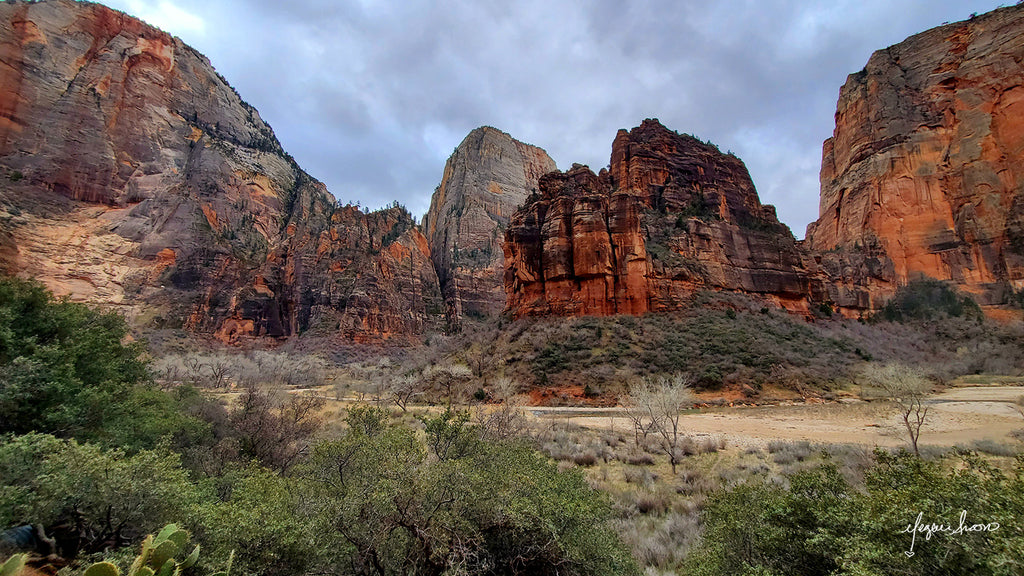 photos of Zion National Park in the canyon while riding a bike by traveling artist cyclist blogger meganaroon (11)