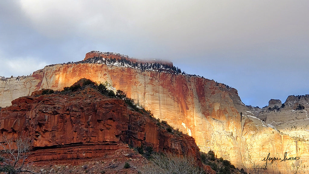 photos of Zion National Park in the canyon while riding a bike by traveling artist cyclist blogger meganaroon (3)