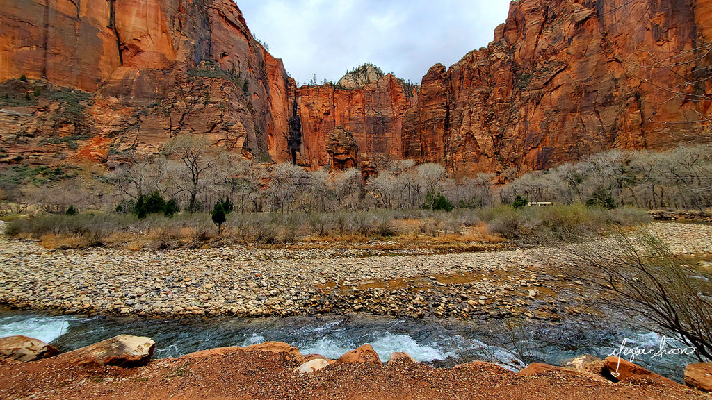 photos of Zion National Park in the canyon while riding a bike by traveling artist cyclist blogger meganaroon (7)