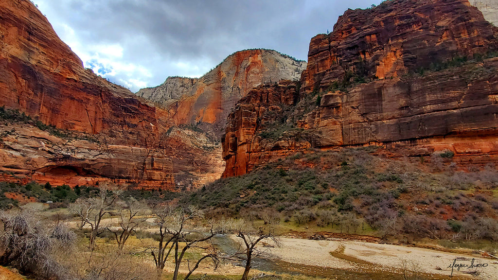 photos of Zion National Park in the canyon while riding a bike by traveling artist cyclist blogger meganaroon (9)