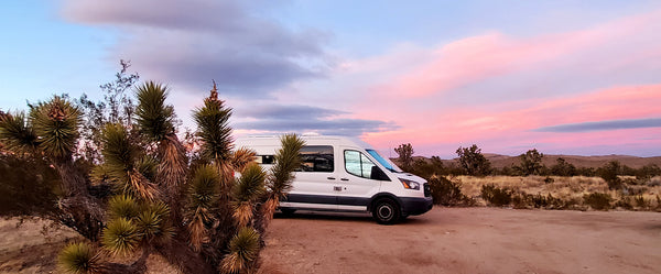 van life boondocking amonst the joshua trees in the wee thump recreationa rea of nevada