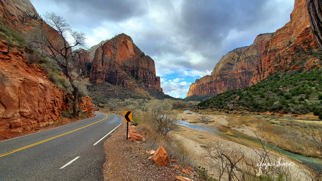zion national park guide to riding your bike through the park by traveling artist cyclist blogger meganaroon (18)