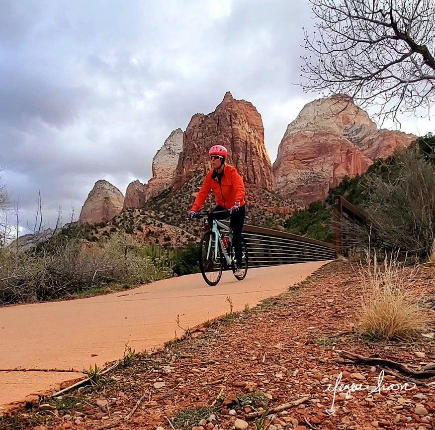 zion national park guide to riding your bike through the park by traveling artist cyclist blogger meganaroon (4)