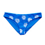 MAIDSTONE BOTTOM BLUE DAISY