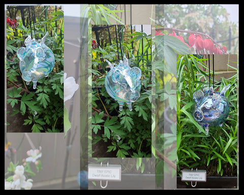 Hand crafted glass pigs with wings hang from black ribbon with foliage in the background