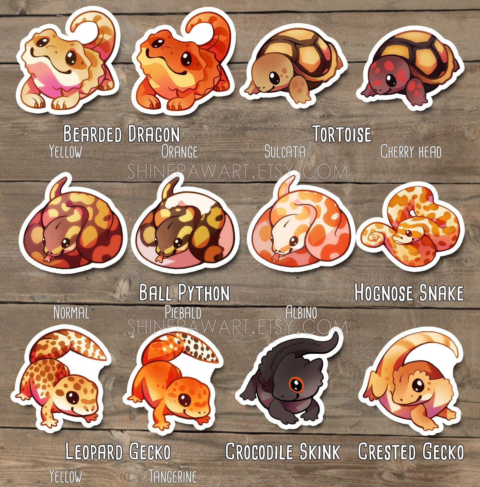 Cute Warrior Cats Sticker set