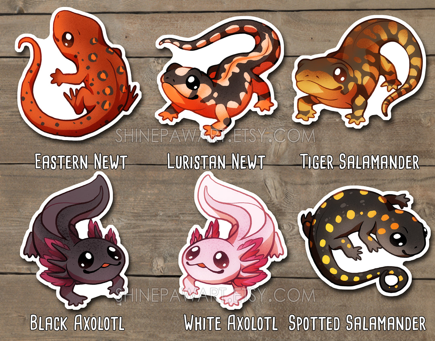 Adorable Dinosaur Sticker Set – Shinepaw Design