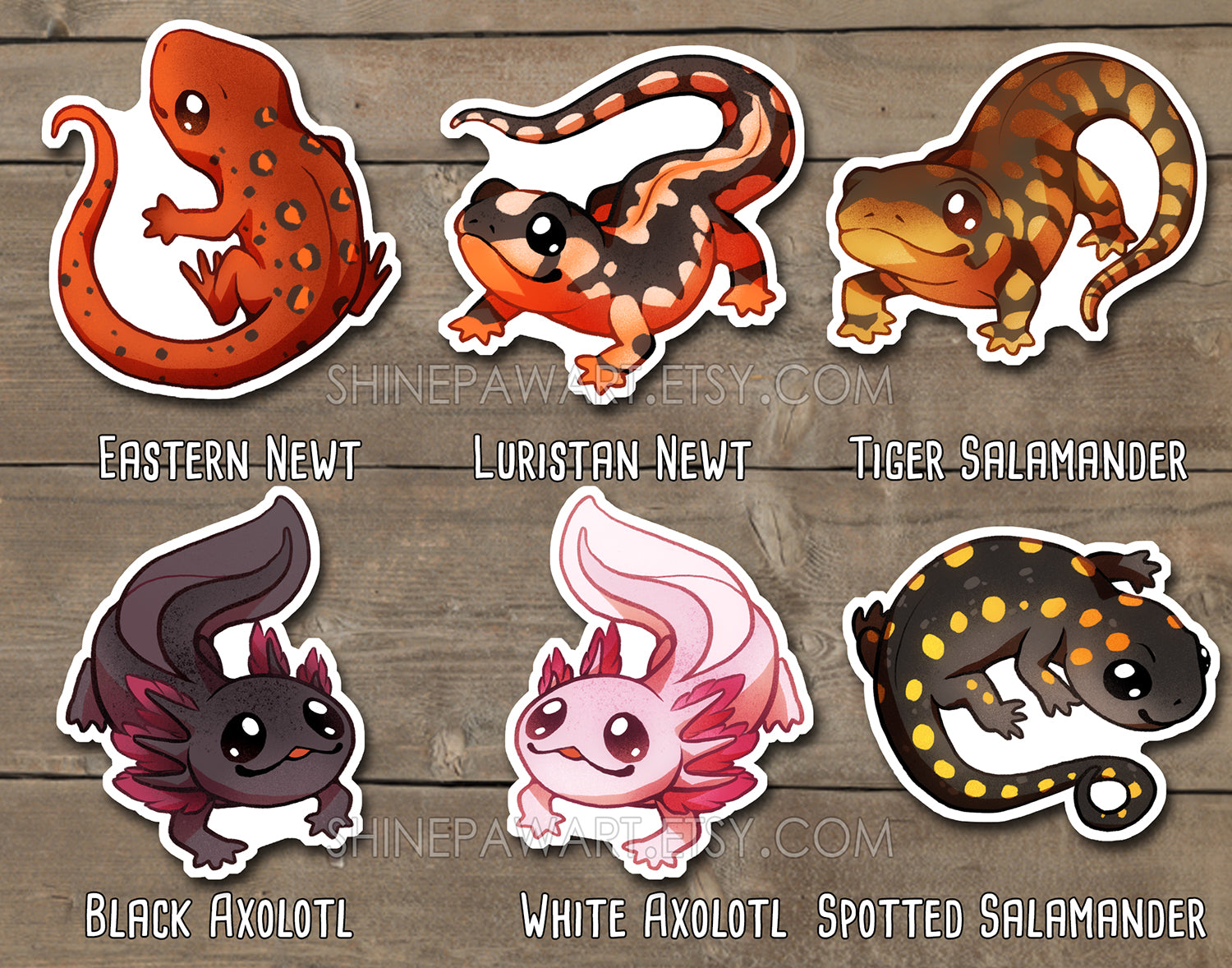 Warrior Cats Sticker set II – Shinepaw Design